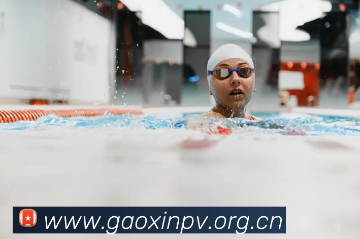 milan登录入口平台生态图